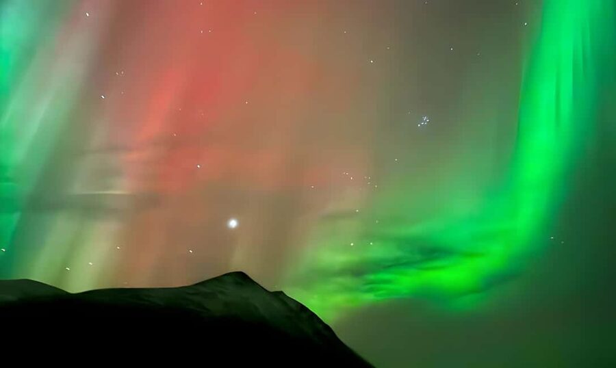 Tromsø: Northern Lights Bus Tour with Free Photography - What the tour costs at $61