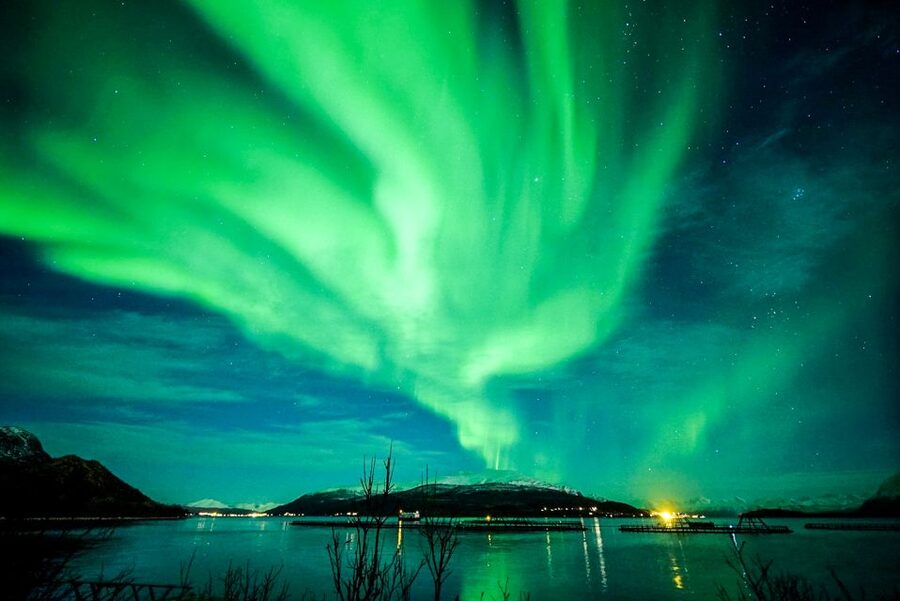 Tromsø: Northern Lights Chase Minibus Tour - What happens on a cloudy or lucky night