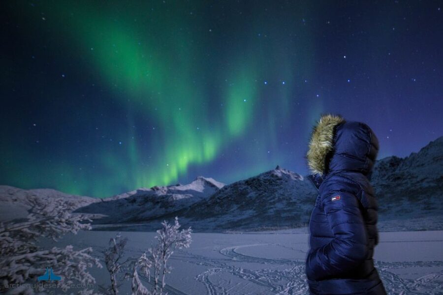 Tromso: Northern Lights Chase with Photo Package Included - The guides make a real difference