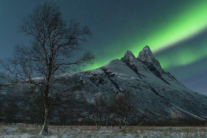 Tromso Northern Lights Minibus Chase Small Group Tour with Photos - Booking details that matter