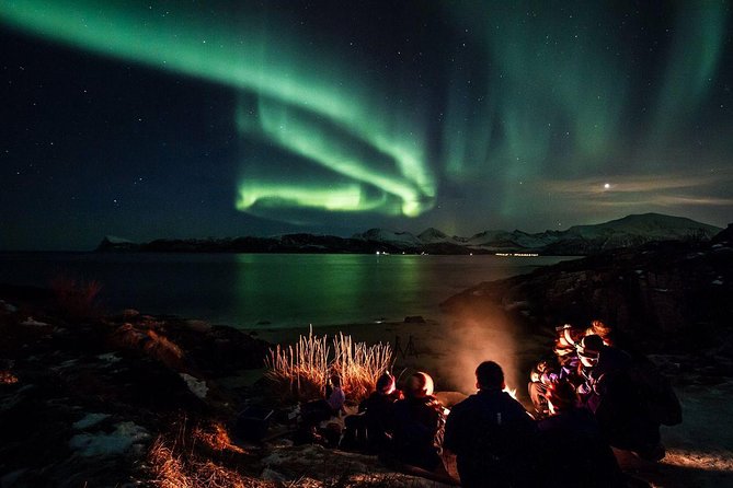 Tromso Northern Lights Minibus Chase Small Group Tour with Photos - From Scandic Ishavshotel to the Arctic road