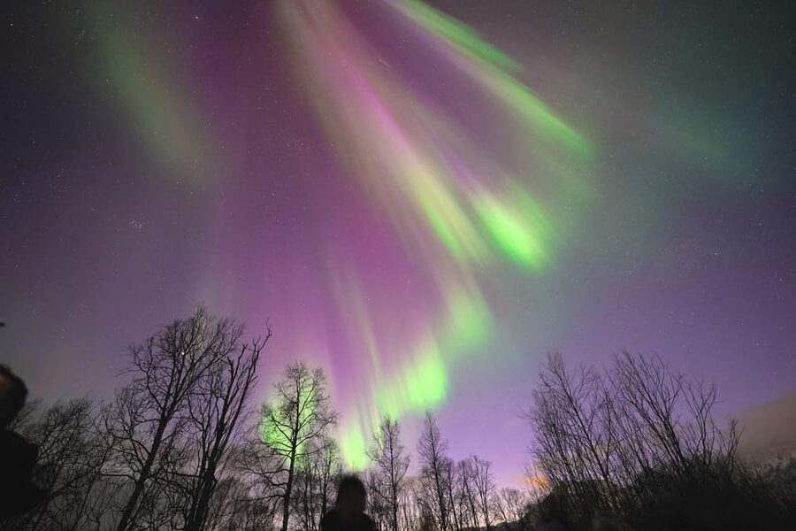 Tromso: Northern Lights Minibus Tour with Campfire - Chasing the lights toward Finland