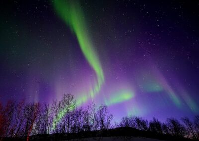 Northern Lights Minibus Tour with Campfire