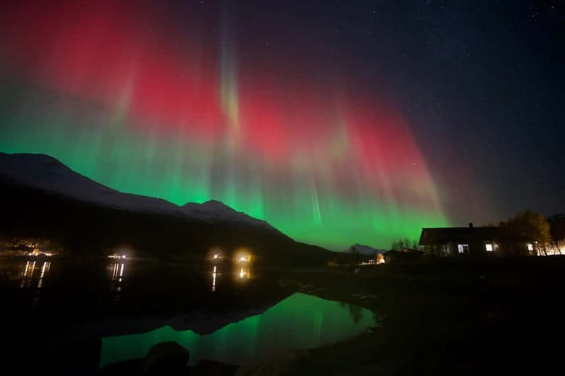 Tromsø: Small-Group Northern Lights Tour by Minibus - Key points to know before you book