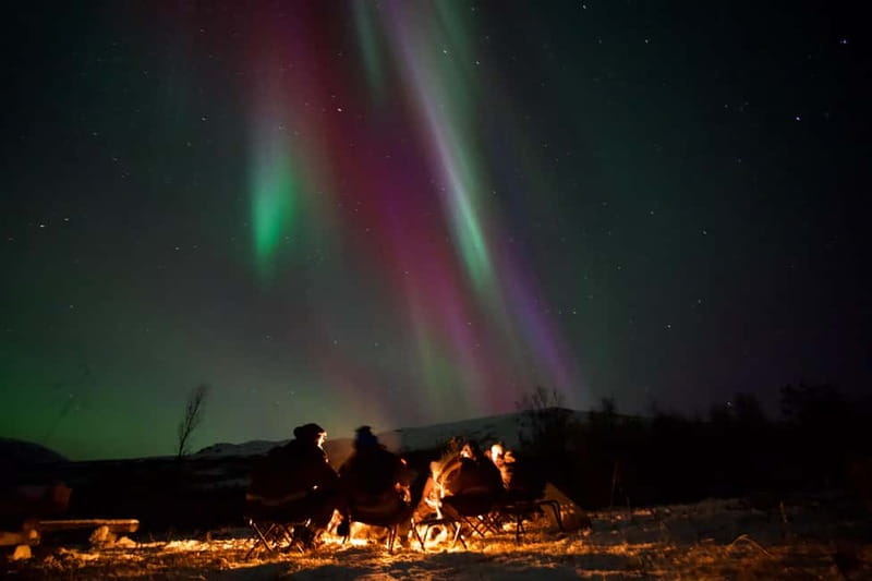 Tromsø: Small-Group Northern Lights Tour by Minibus - What the six-hour aurora chase is really like