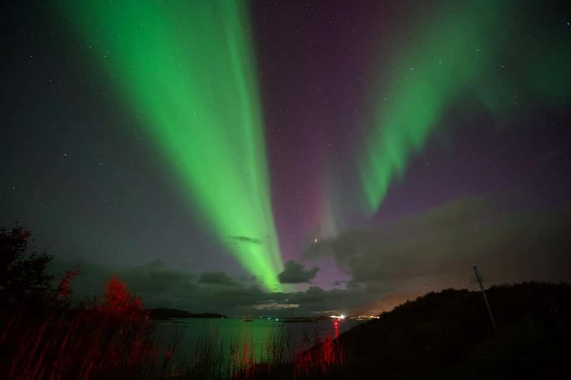 Tromsø: Small-Group Northern Lights Tour by Minibus - Price, group size, and the value of the package
