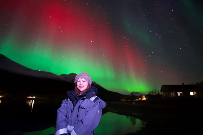 Tromsø: Small-Group Northern Lights Tour by Minibus - Timing, weather, and the risk of disappointment