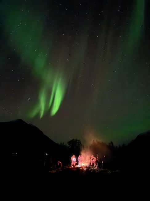 Tromsø: Small-Group Northern Lights Tour by Minibus - Who should book this tour