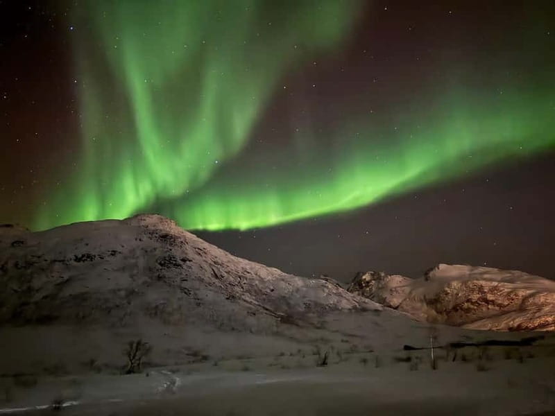 Tromsø: Small-Group Northern Lights Tour by Minibus - Should you book the Snow-travels aurora hunt?