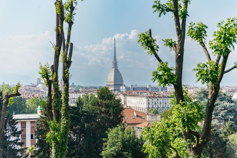 Turin: Hop-on Hop-off Bus Tour with 24 or 48-Hour Ticket - Red Line: Turin’s center, river views, and classic sights