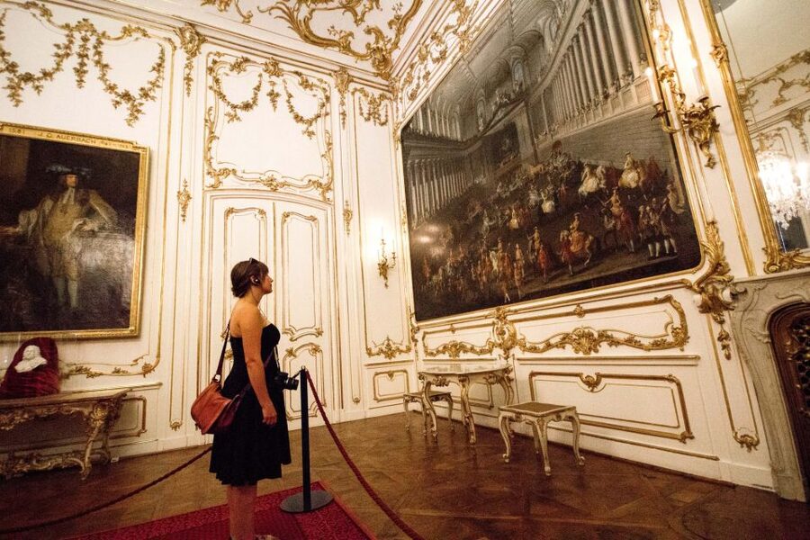 Vienna: Bus & Schönbrunn Palace Skip-the-Line Guided Tour - Language and guide quality