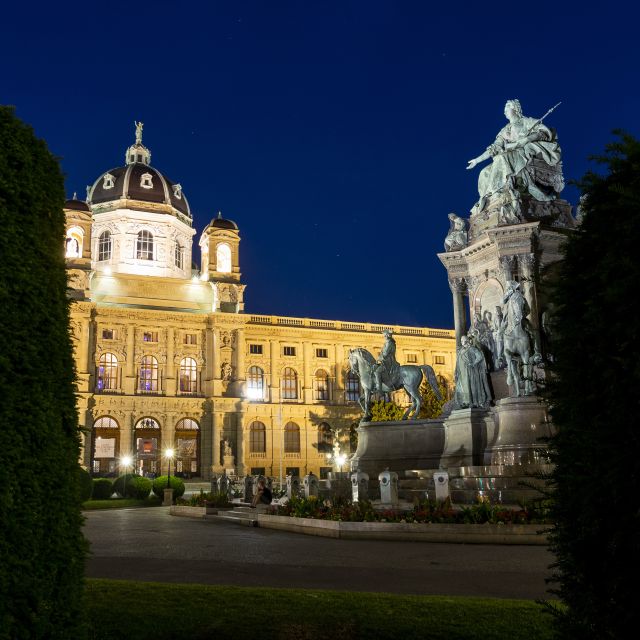 Vienna: Panoramic Night Tour by Bus - Comfort, Access, and Practical Details