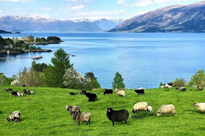 Viking Islands from Alesund: 5-Hour Private Group Tour - Giske Church, a medieval island landmark