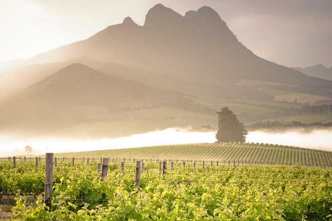 Vine Hopper: Hop-On Hop-Off Wine Tour - Northern Route - Key Points Before You Book