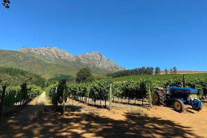 Vine Hopper: Hop-On Hop-Off Wine Tour - Northern Route - A Typical Eight-Hour Day from Stellenbosch