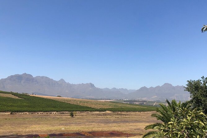 Vine Hopper: Hop-On Hop-Off Wine Tour - Northern Route - Who Will Enjoy This Tour Most