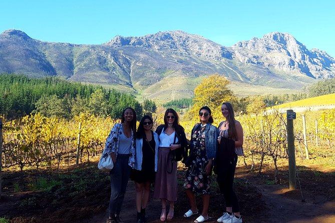 Vine Hopper: Hop-On Hop-Off Wine Tour - Northern Route - How the Hop-On Hop-Off System Actually Works