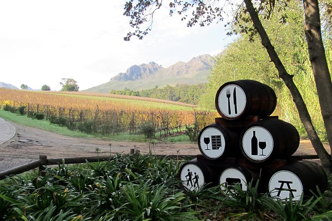 Vine Hopper: Hop-On Hop-Off Wine Tour - Southern Route - What the $25.88 price really buys you
