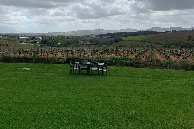 Vine Hopper: Hop-On Hop-Off Wine Tour - Southern Route - Why the six Southern Route stops matter