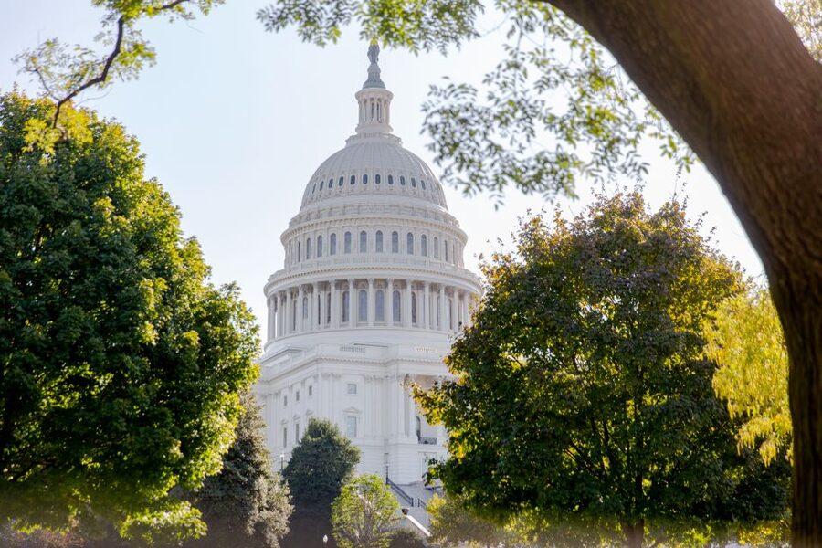 Washington DC: Bus Tour to the Highlights of the Capital - The National Mall, Smithsonian, and Washington Monument from the bus
