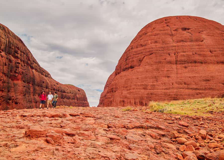Yulara: Uluru Sunrise and Kata Tjuta Day Trip by Bus - Practical planning for the early morning