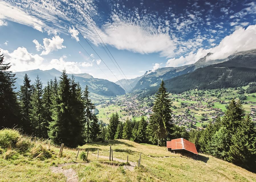 Zurich: Day Trip to Grindelwald, Interlaken & Lauterbrunnen - Who should book this experience?