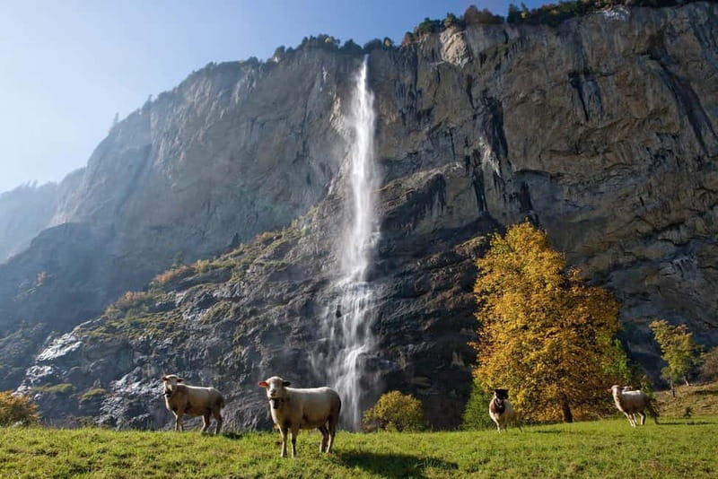 Zurich: Day Trip to Grindelwald, Interlaken & Lauterbrunnen - Starting at Zurich Sihlquai Bus Station